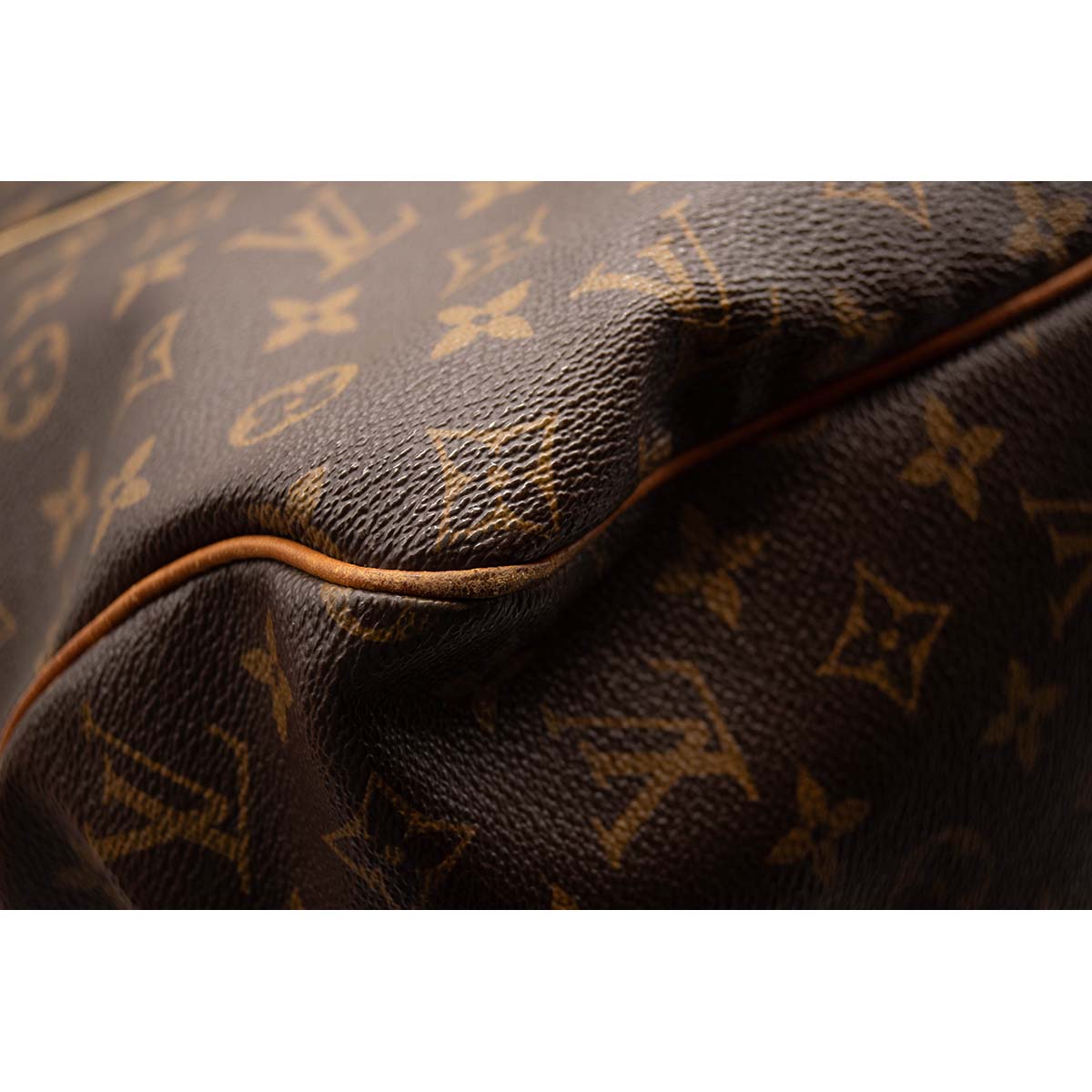 Louis Vuitton Monogram Delightful GM Hobo