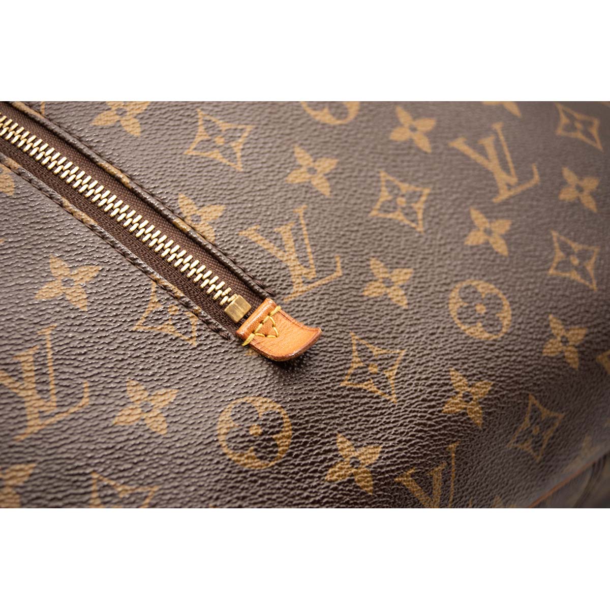 Louis Vuitton Monogram Delightful GM Hobo