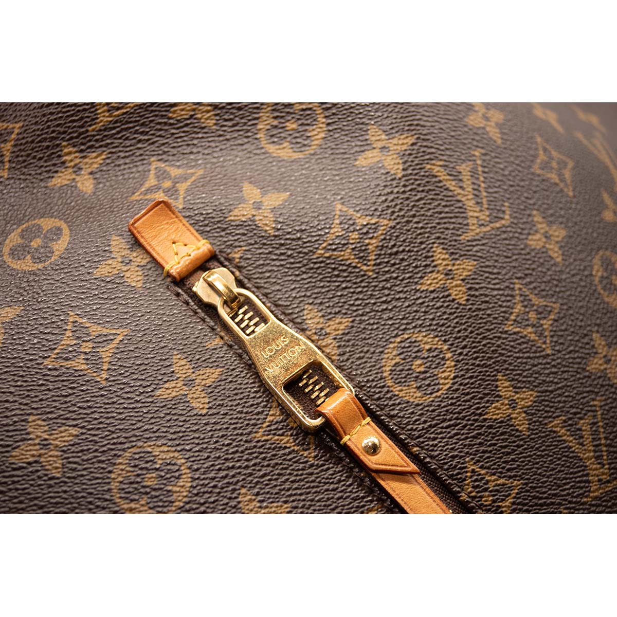 Louis Vuitton Monogram Delightful GM Hobo