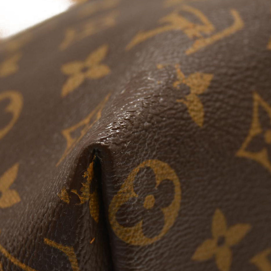 Louis Vuitton  Monogram Iena MM