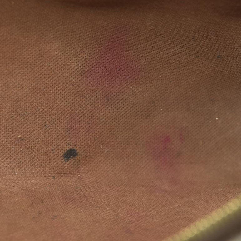 Louis Vuitton  Monogram Eva Clutch DU0058