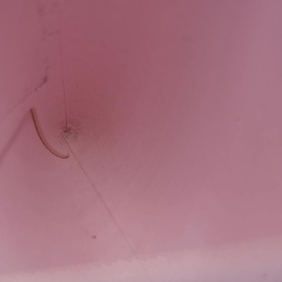 AUCTION $1020 Louis Vuitton  Monogram Giant By The Pool Large Kirigami Pochette Pink