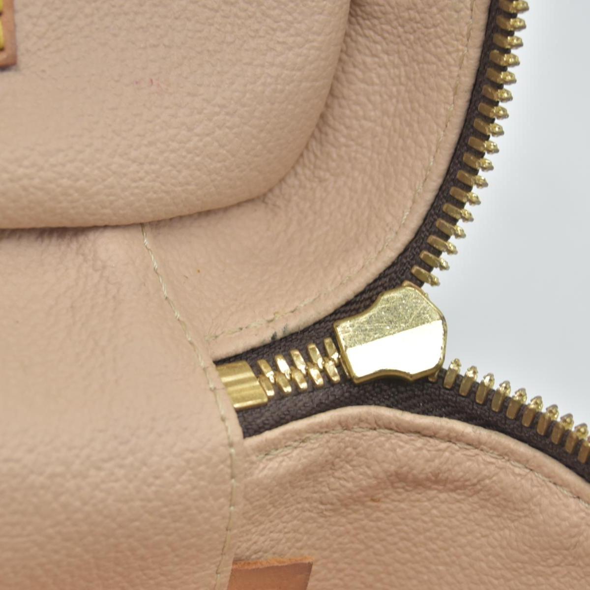 Louis Vuitton Monogram Nice Mini