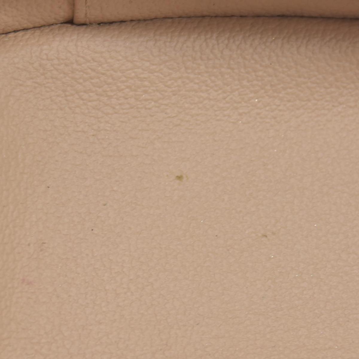 Louis Vuitton Monogram Nice Mini