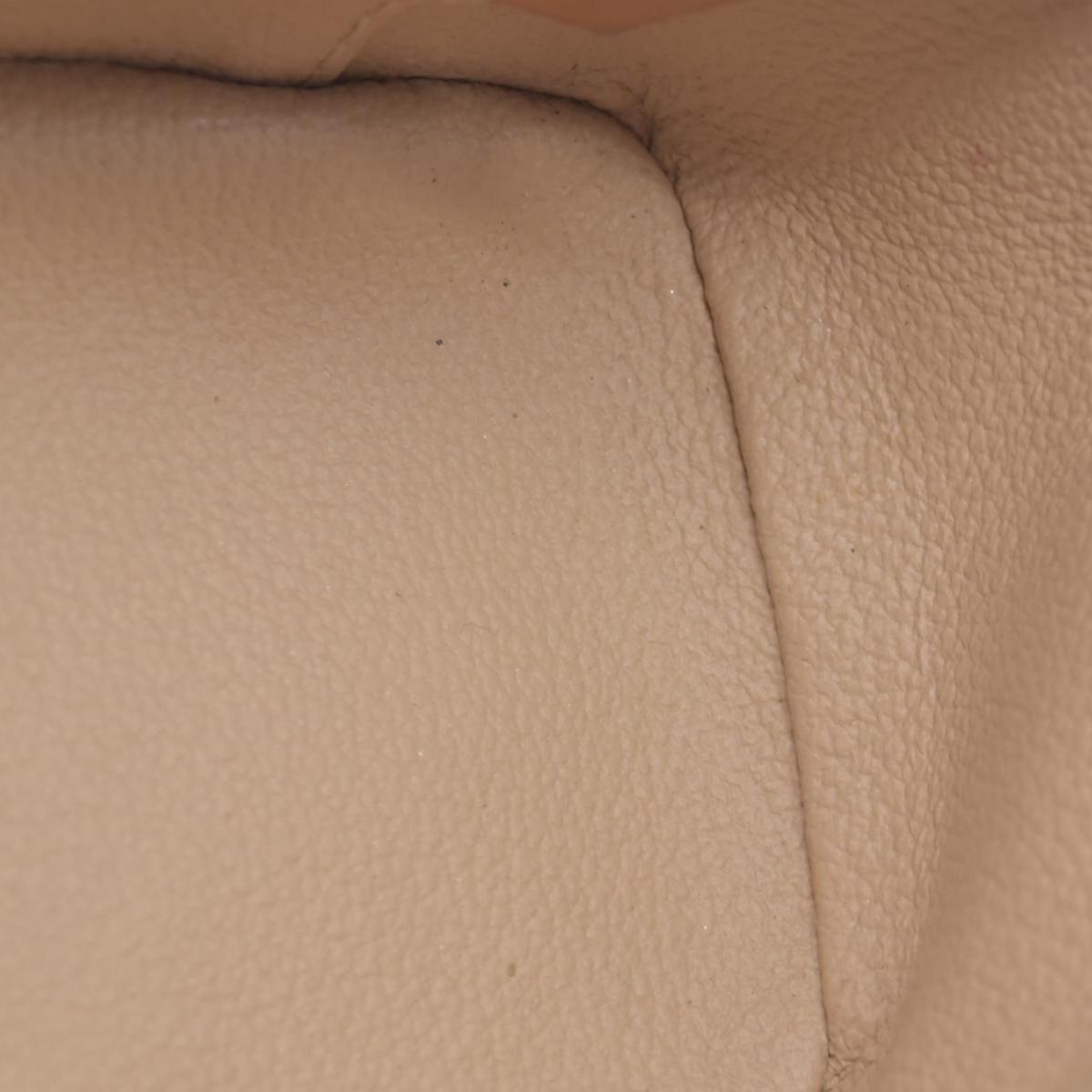 Louis Vuitton Monogram Nice Mini