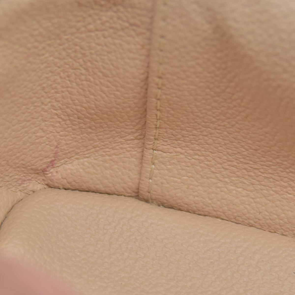 Louis Vuitton Monogram Nice Mini