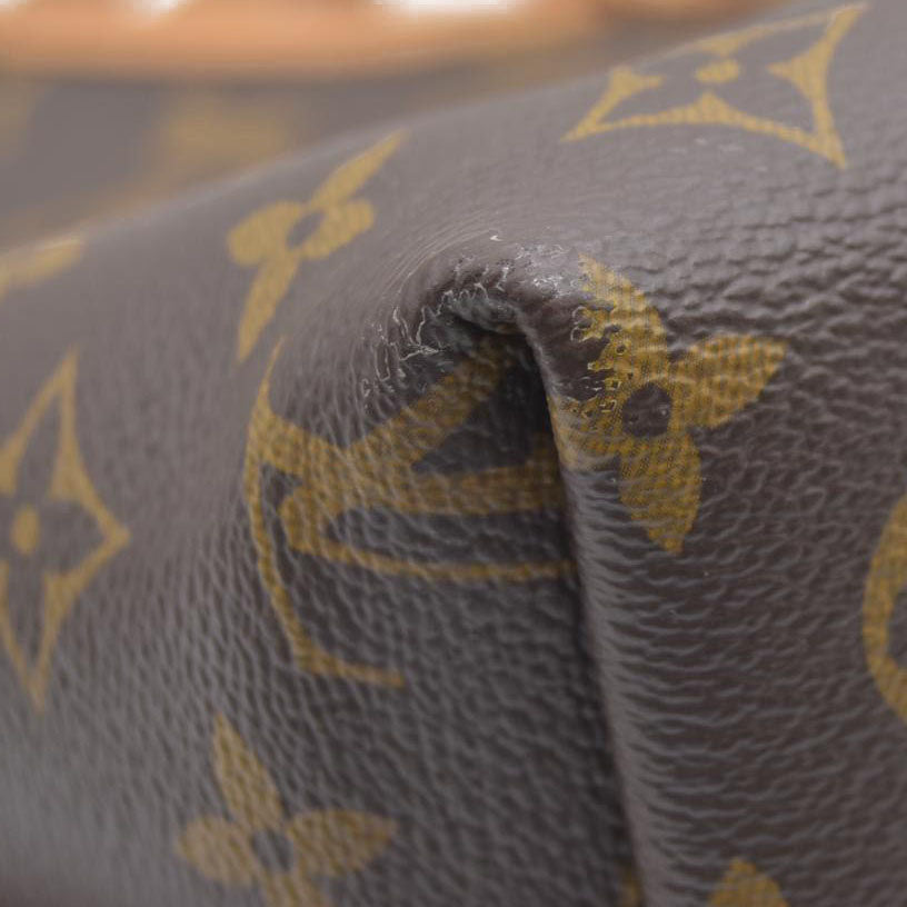 $2850 Louis Vuitton  Monogram CarryAll PM