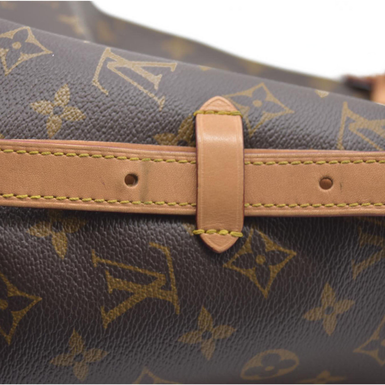 $2850 Louis Vuitton  Monogram CarryAll PM