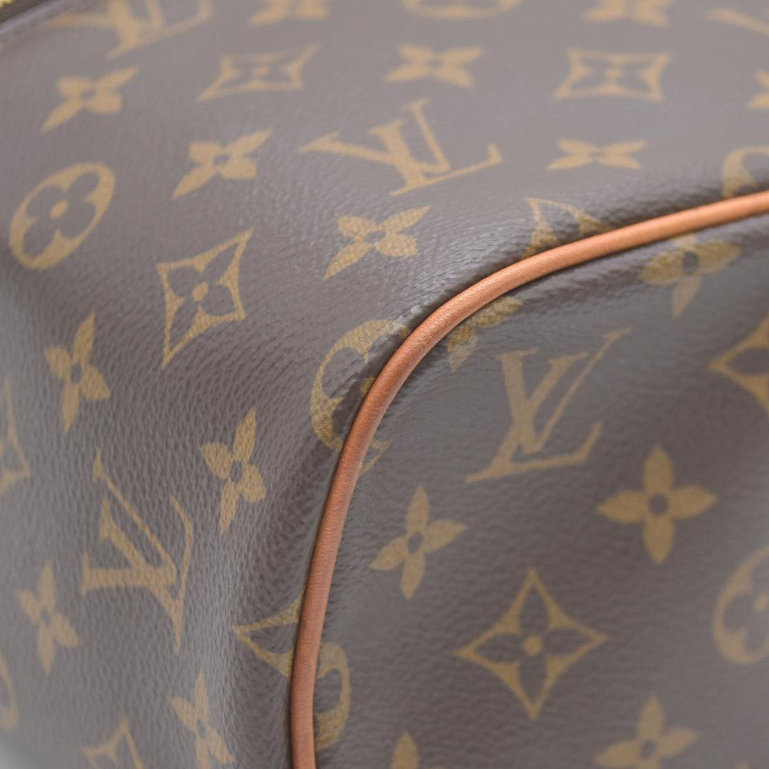 Louis Vuitton  Monogram Nice BB