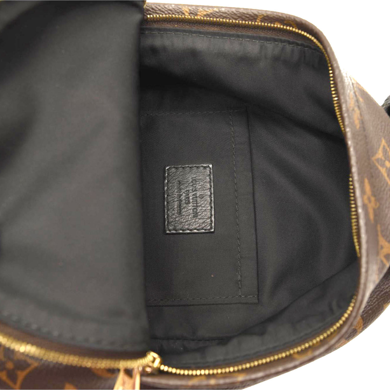 LOUIS VUITTON Monogram Palm Springs Backpack Mini