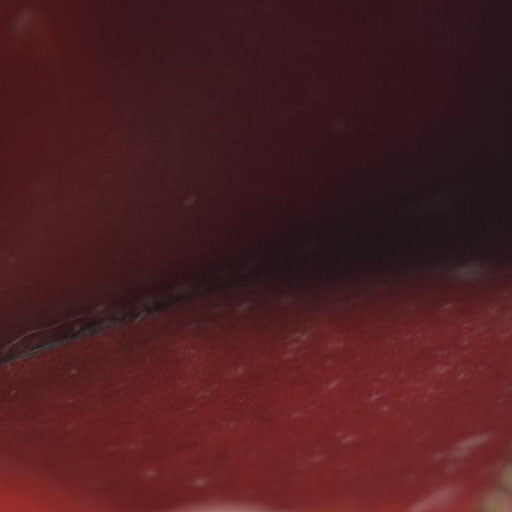 AUCTION $445 Louis Vuitton  Epi Key Pouch Castillan Red