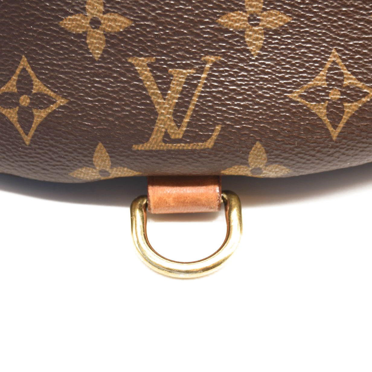 LOUIS VUITTON Monogram Bumbag MI3108