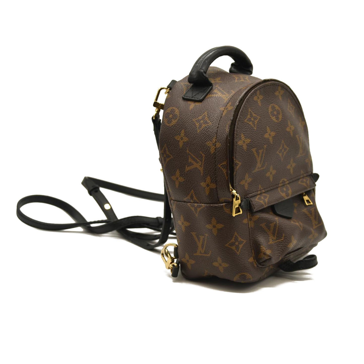Louis Vuitton  Monogram Palm Springs Backpack Mini