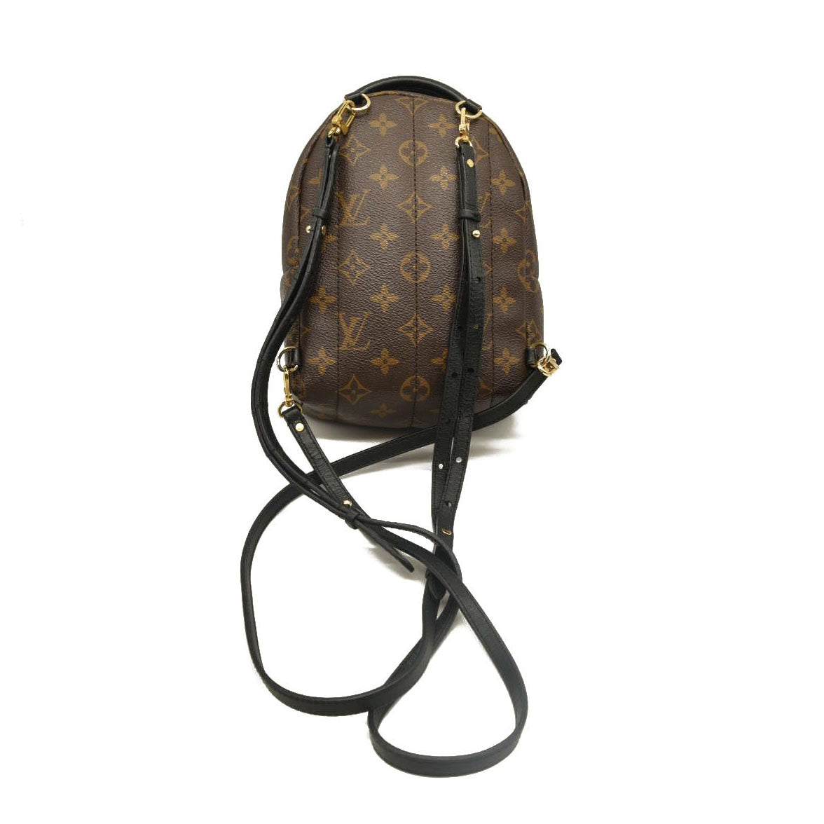 Louis Vuitton  Monogram Palm Springs Backpack Mini