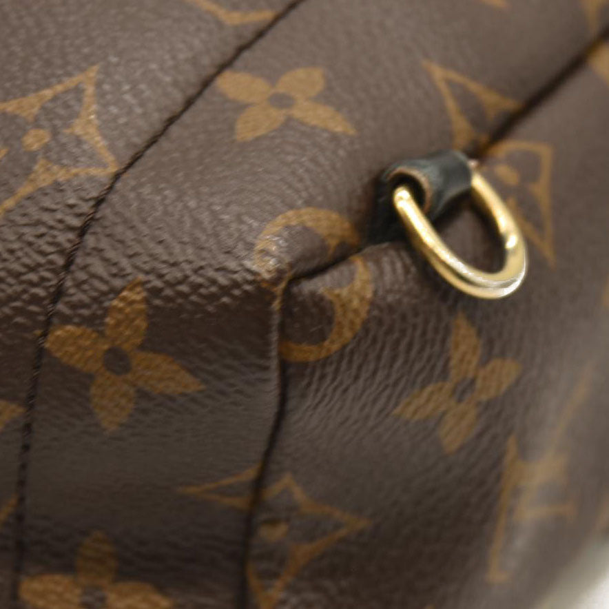 Louis Vuitton  Monogram Palm Springs Backpack Mini