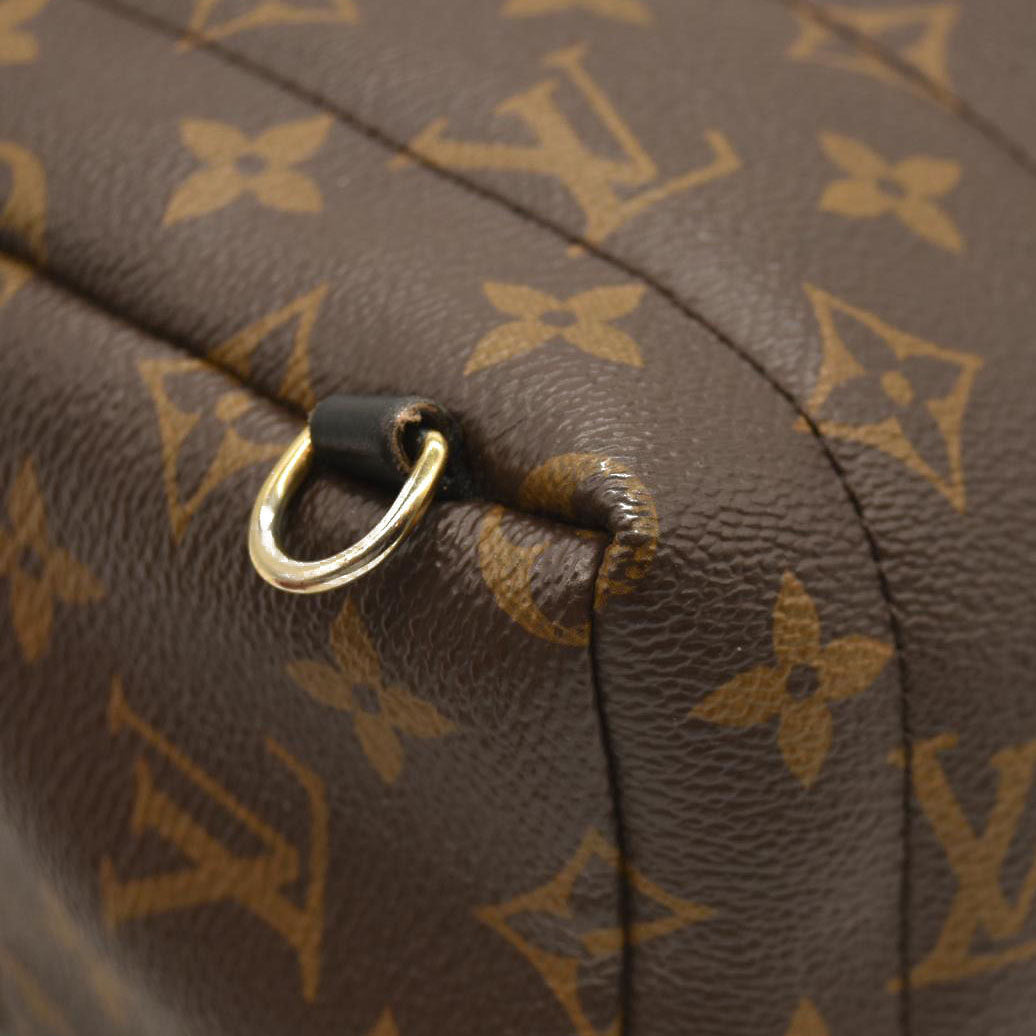 Louis Vuitton  Monogram Palm Springs Backpack Mini
