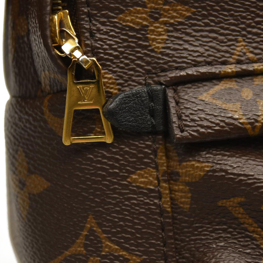 Louis Vuitton  Monogram Palm Springs Backpack Mini