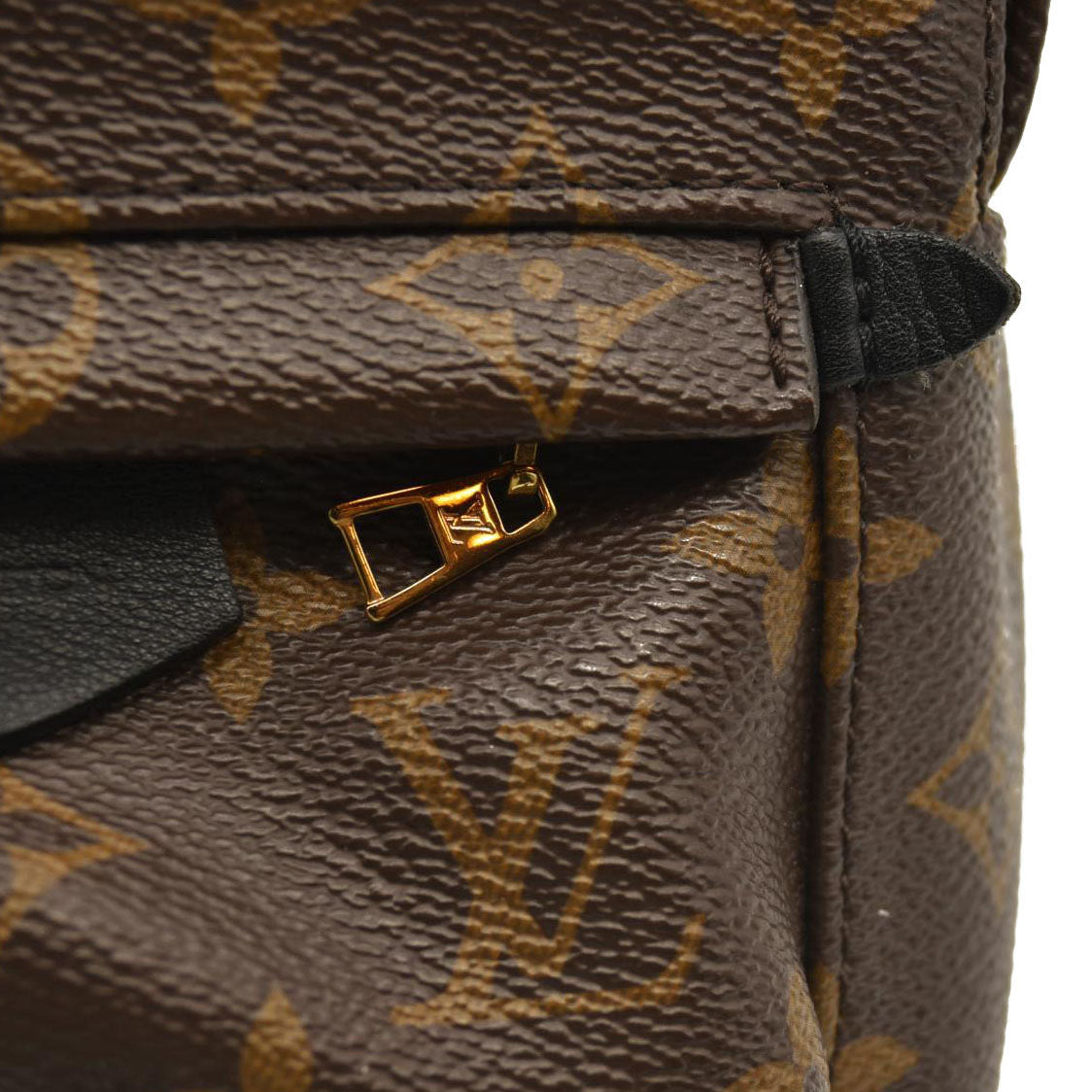 Louis Vuitton  Monogram Palm Springs Backpack Mini
