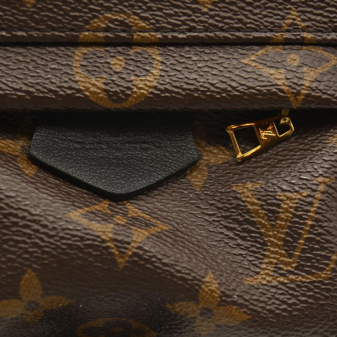 Louis Vuitton  Monogram Palm Springs Backpack Mini