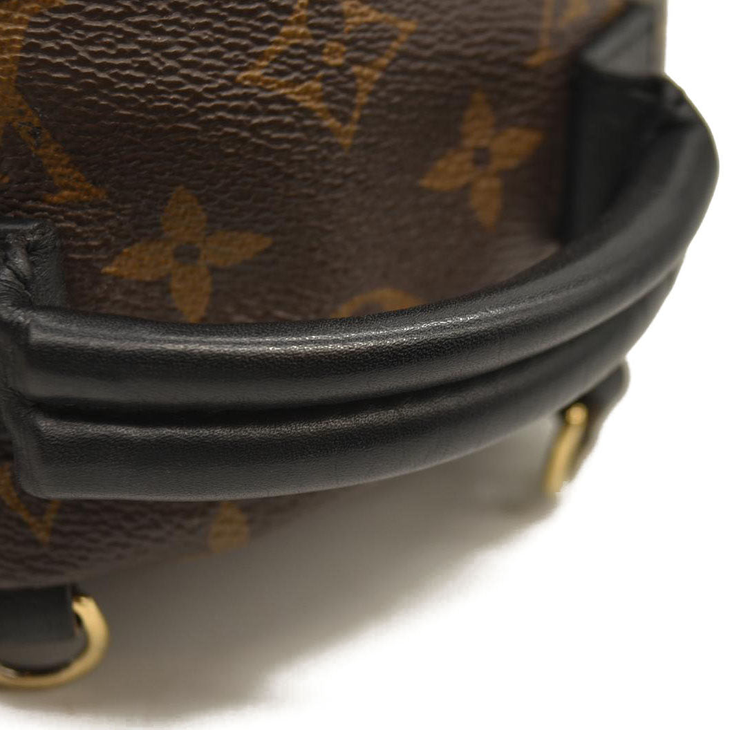 Louis Vuitton  Monogram Palm Springs Backpack Mini