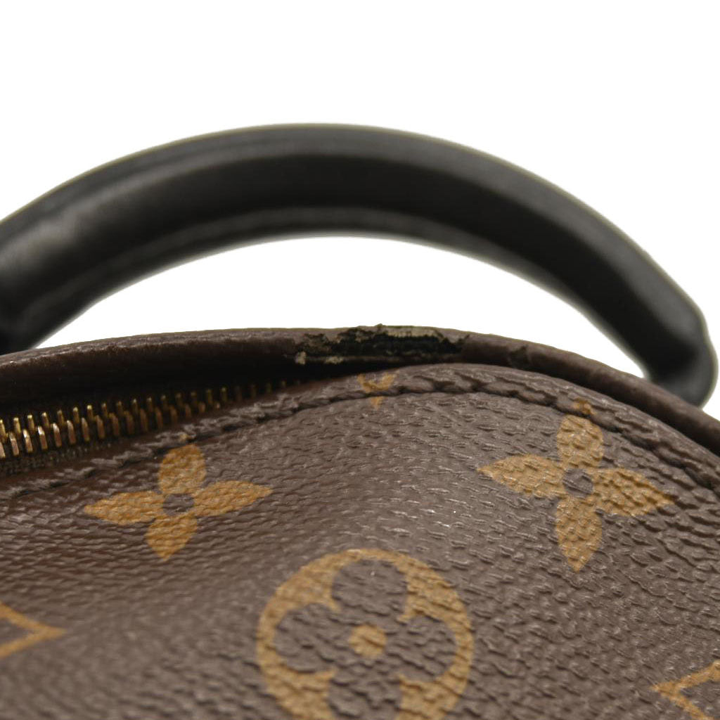 Louis Vuitton  Monogram Palm Springs Backpack Mini