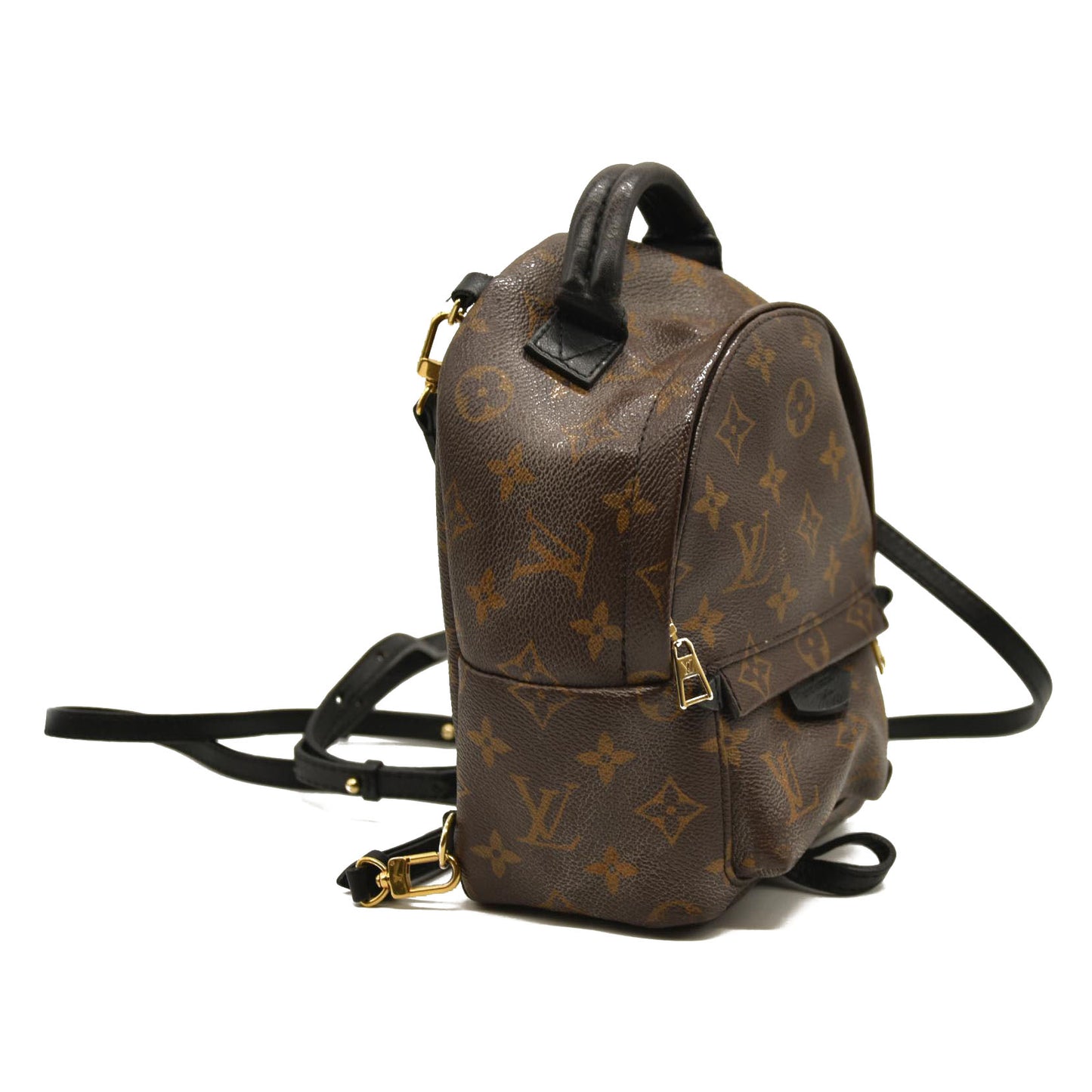 LOUIS VUITTON  Monogram Palm Springs Backpack Mini