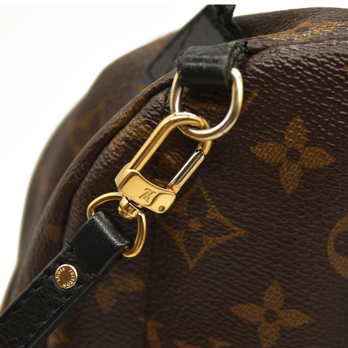 LOUIS VUITTON  Monogram Palm Springs Backpack Mini