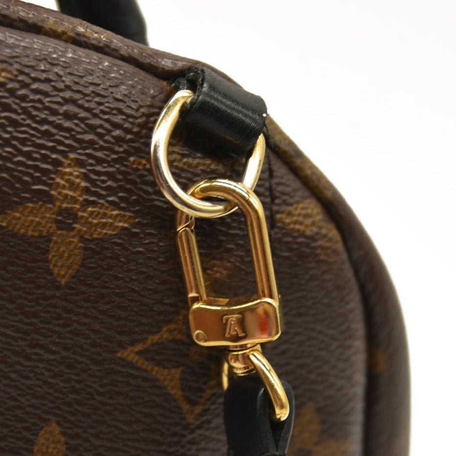 LOUIS VUITTON  Monogram Palm Springs Backpack Mini