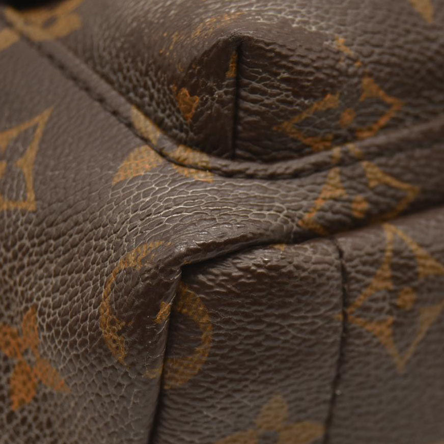 LOUIS VUITTON  Monogram Palm Springs Backpack Mini