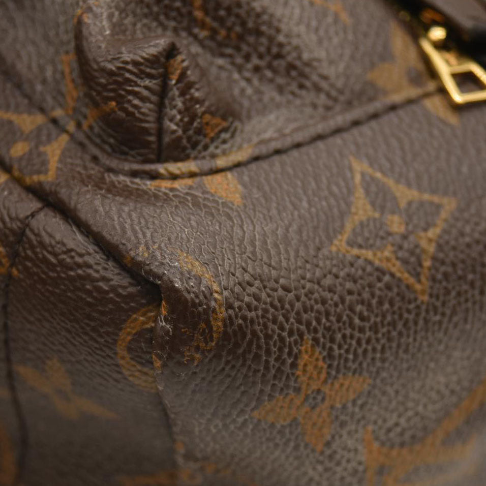 LOUIS VUITTON  Monogram Palm Springs Backpack Mini