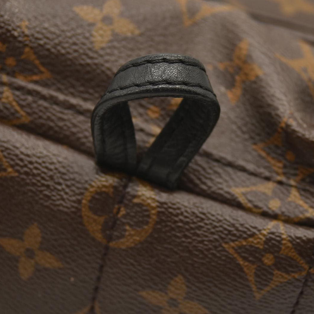 LOUIS VUITTON  Monogram Palm Springs Backpack Mini