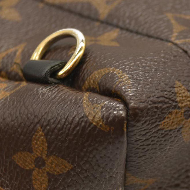 LOUIS VUITTON  Monogram Palm Springs Backpack Mini