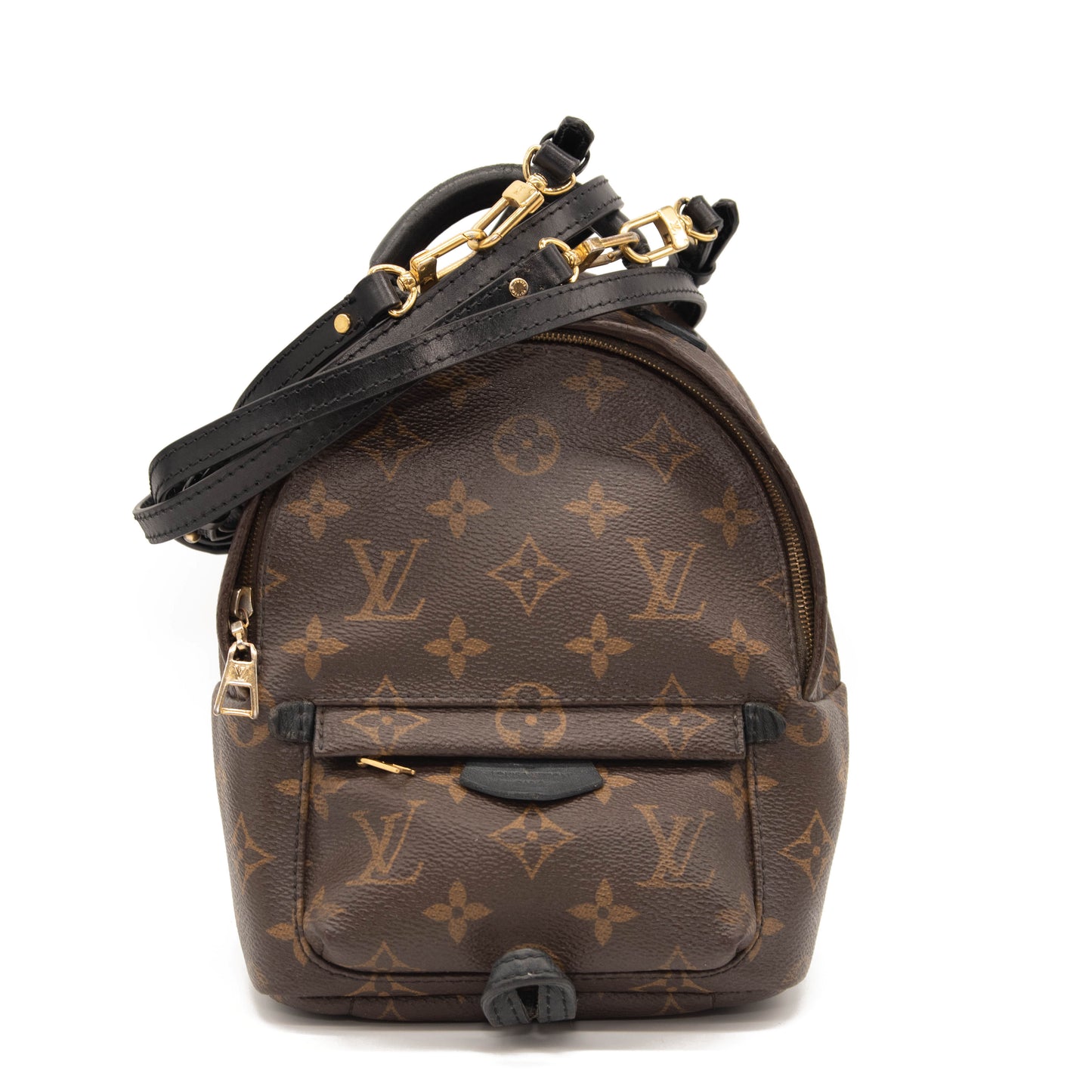 Louis Vuitton Monogram Palm Springs Backpack Mini