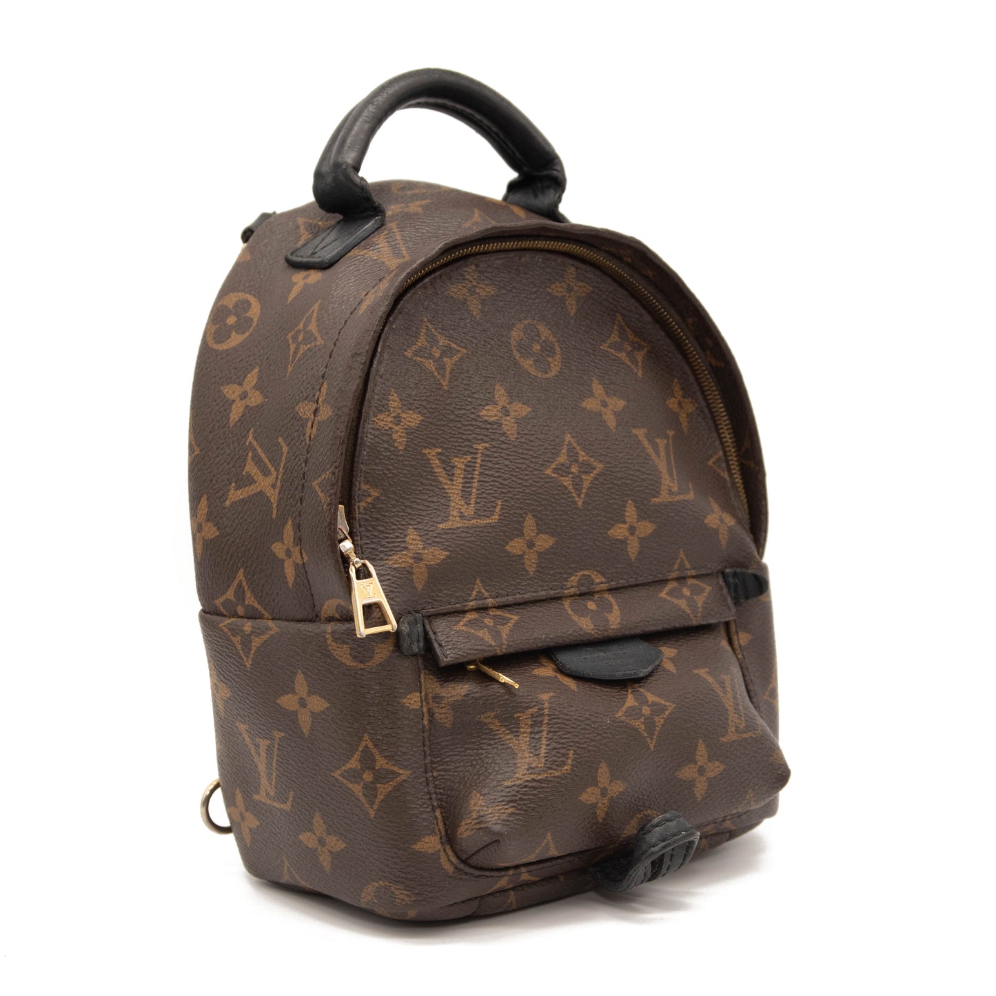 Louis Vuitton Monogram Palm Springs Backpack Mini