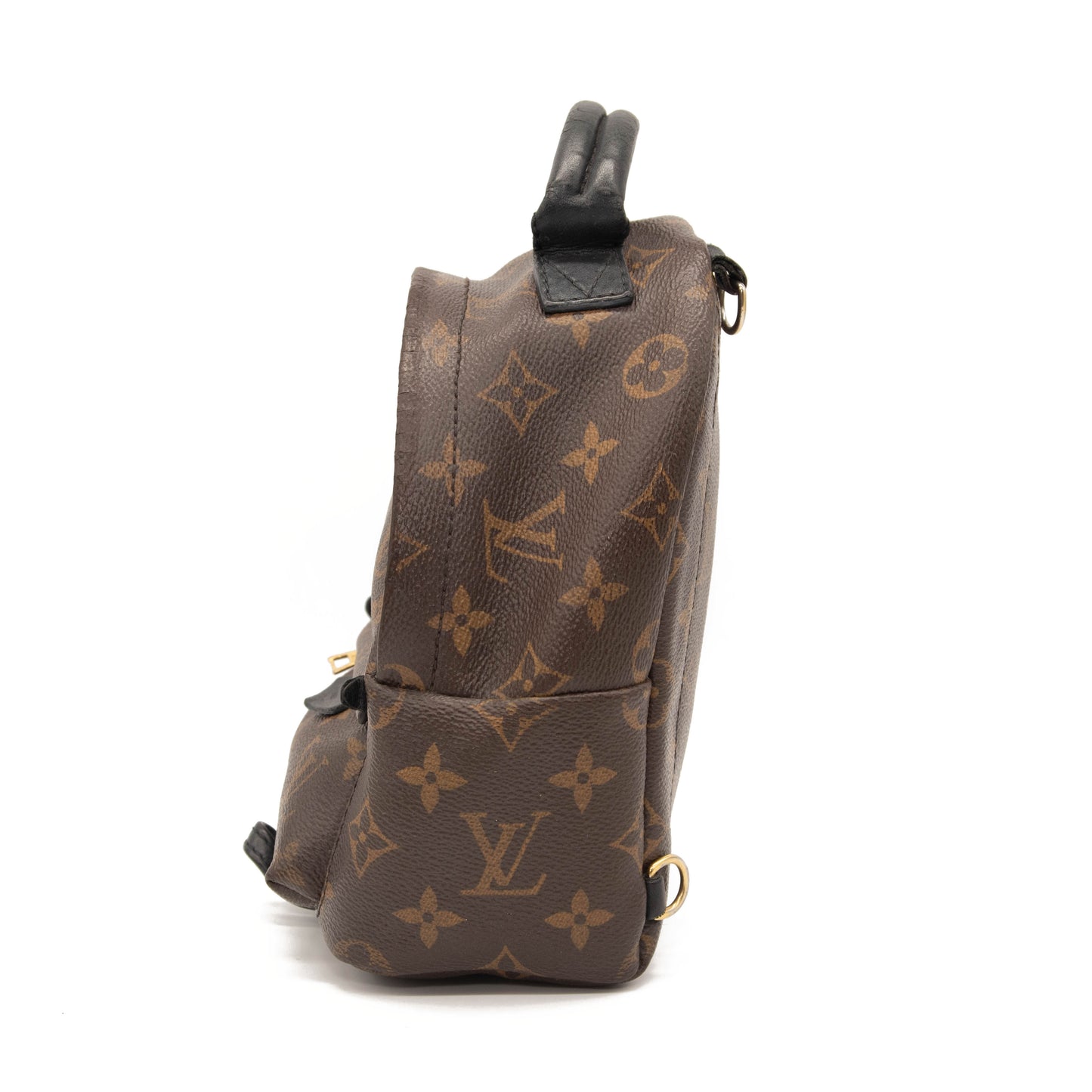 Louis Vuitton Monogram Palm Springs Backpack Mini