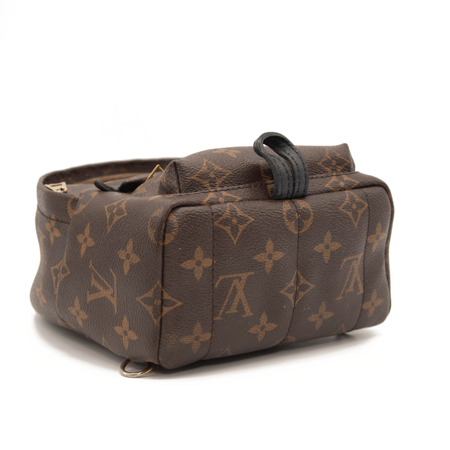 Louis Vuitton Monogram Palm Springs Backpack Mini