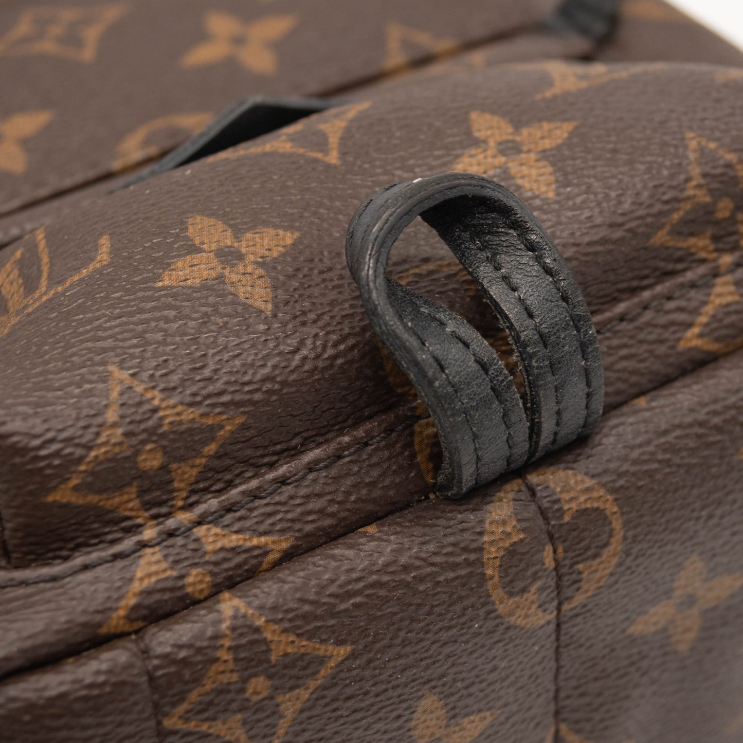 Louis Vuitton Monogram Palm Springs Backpack Mini