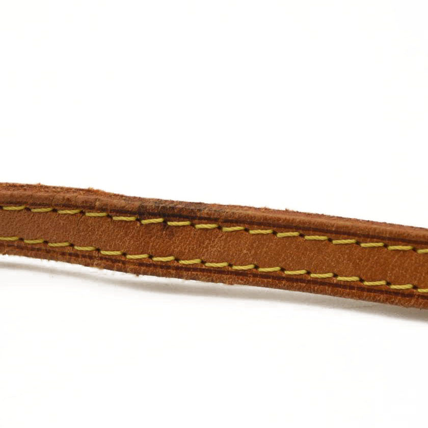 LOUIS VUITTON Monogram Pochette Twin PM