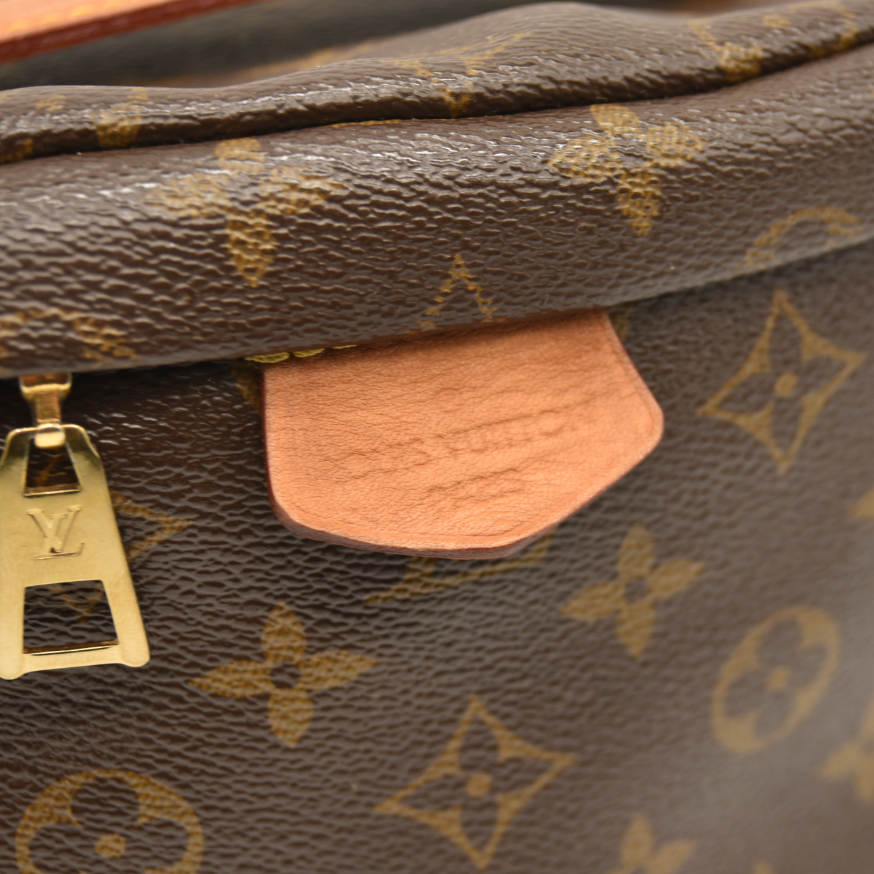 Louis Vuitton Monogram Bumbag CA3210