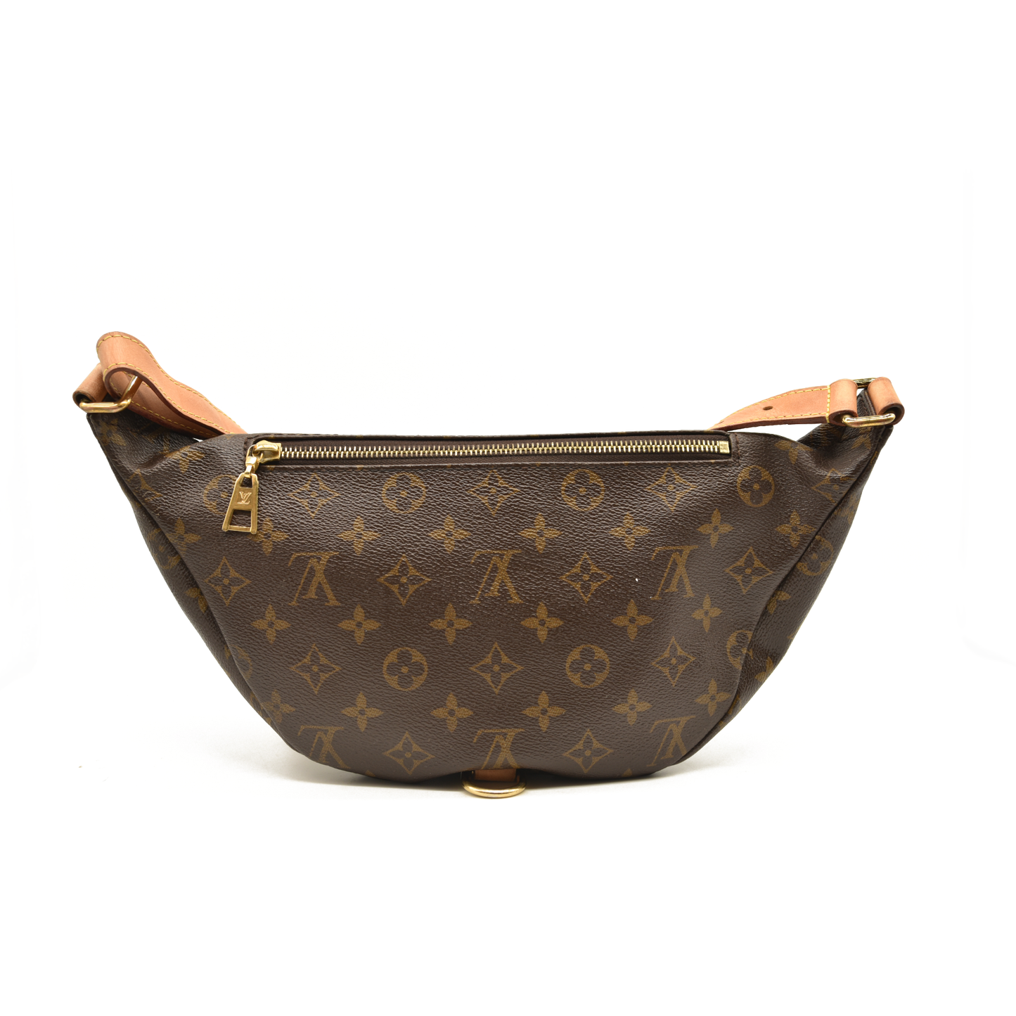 Louis Vuitton Monogram Bumbag CA3210