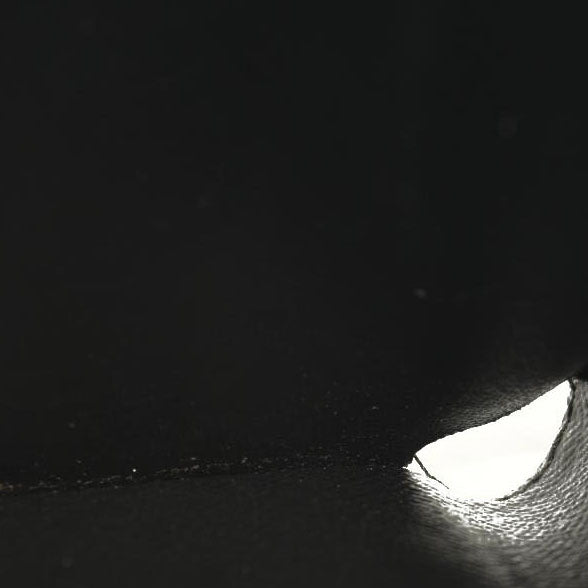 Louis Vuitton  Reverse Monogram Giant Zoe Wallet