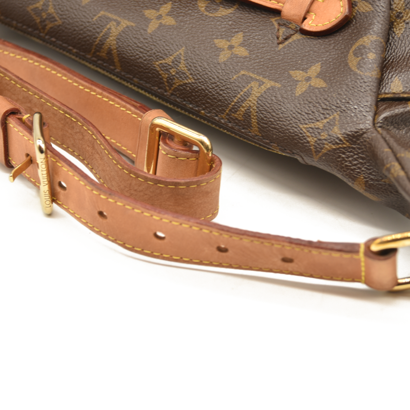 Louis Vuitton Monogram Bumbag CA3210