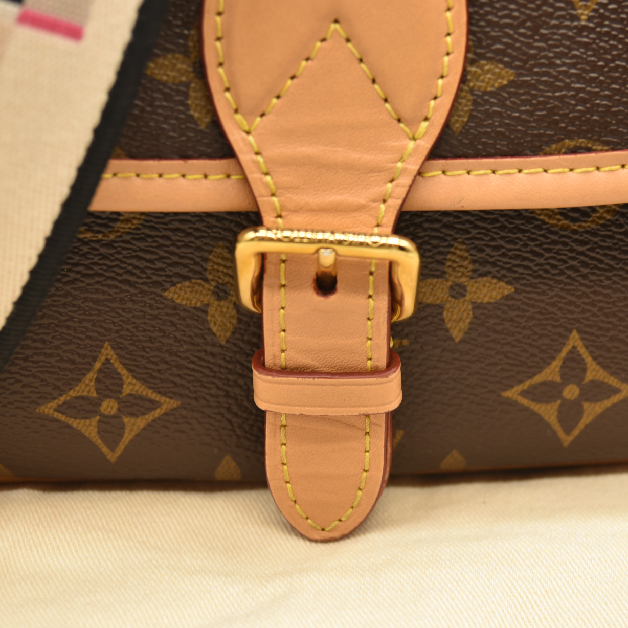 LOUIS VUITTON  Monogram Diane Black RFID Crossbody