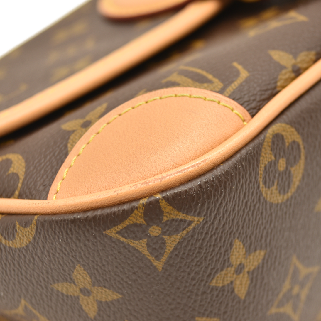 LOUIS VUITTON  Monogram Diane Black RFID Crossbody