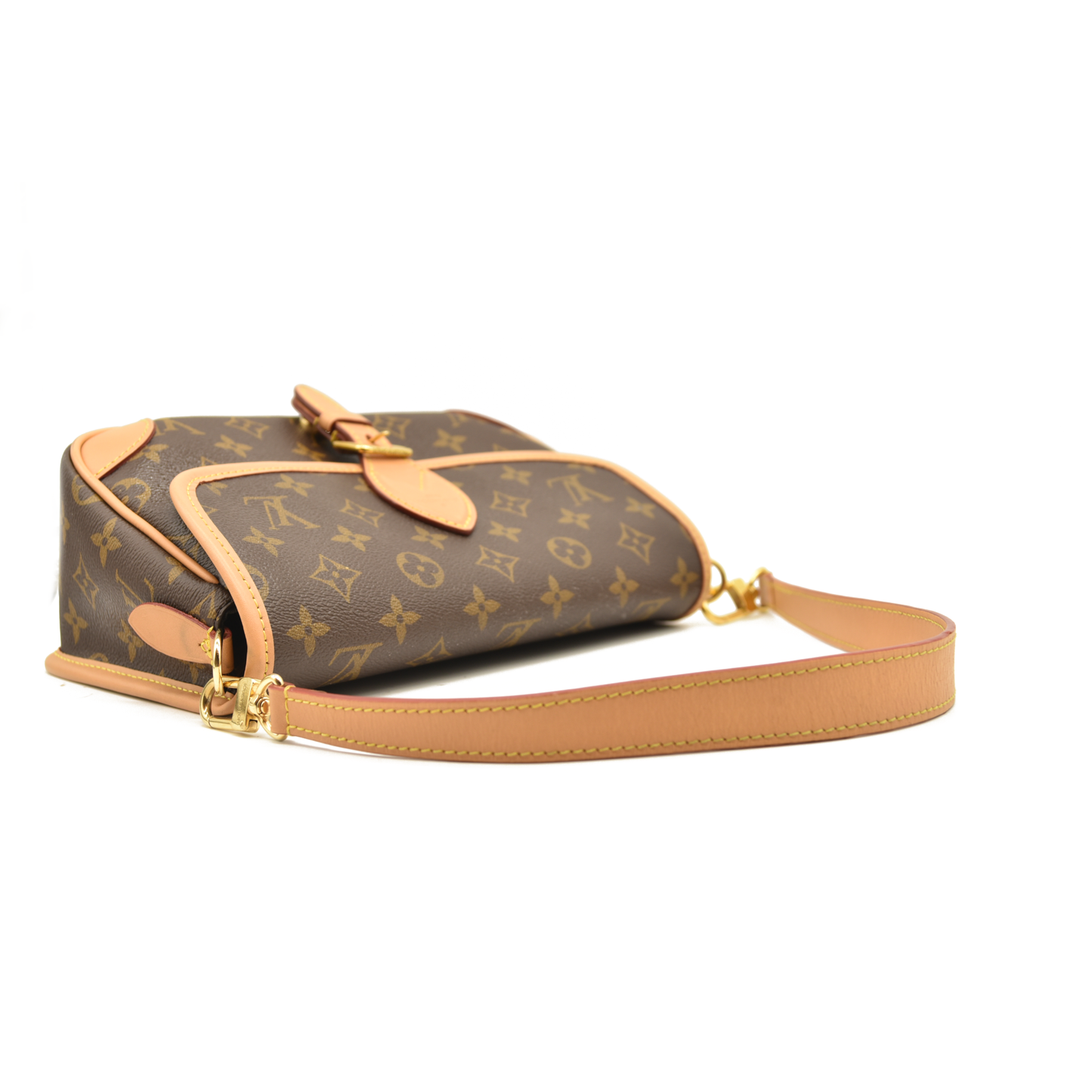 LOUIS VUITTON  Monogram Diane Black RFID Crossbody