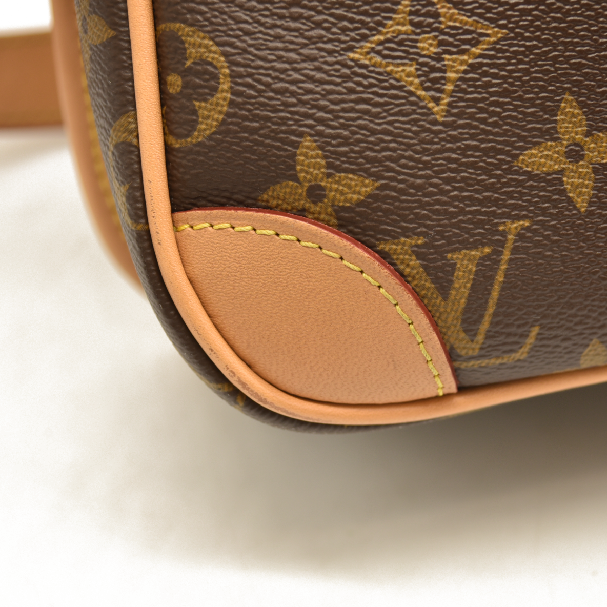 LOUIS VUITTON  Monogram Diane Black RFID Crossbody