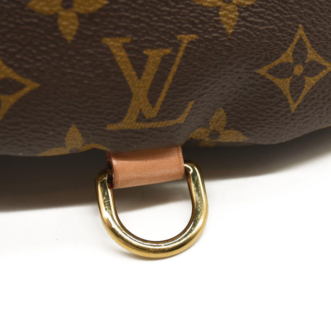 LOUIS VUITTON Monogram Bumbag CA4220