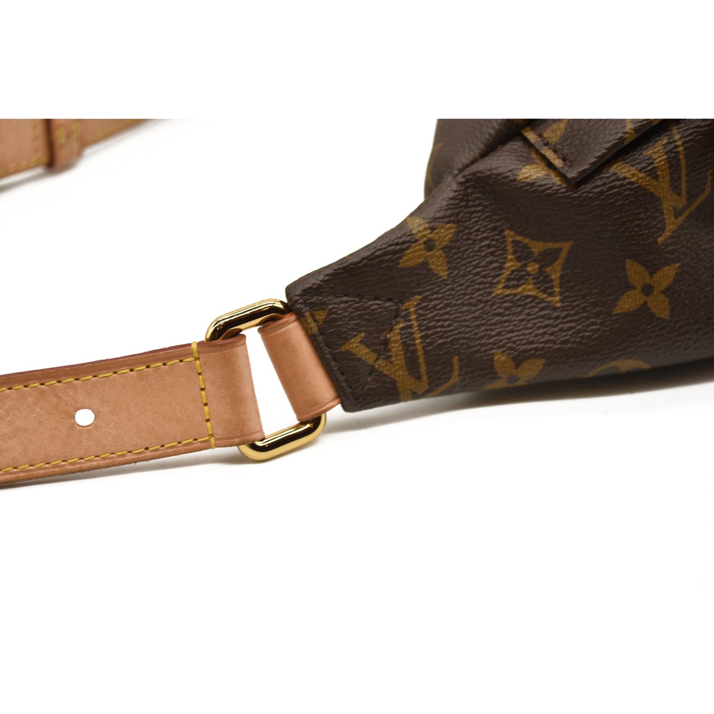 LOUIS VUITTON Monogram Bumbag CA4220