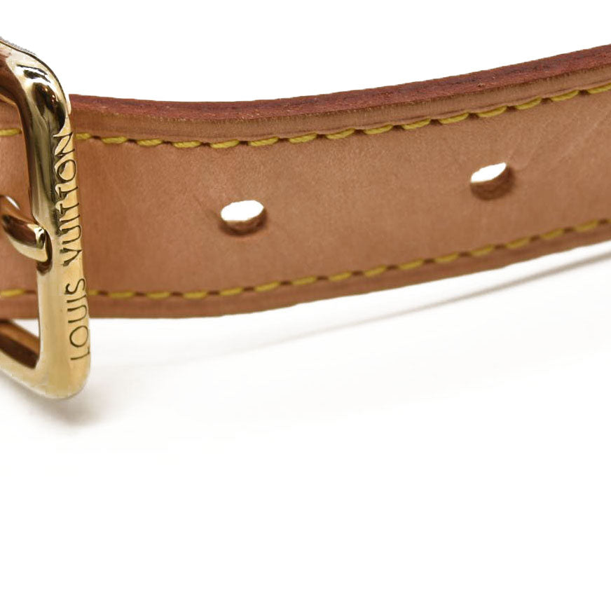 LOUIS VUITTON Monogram Bumbag CA4220