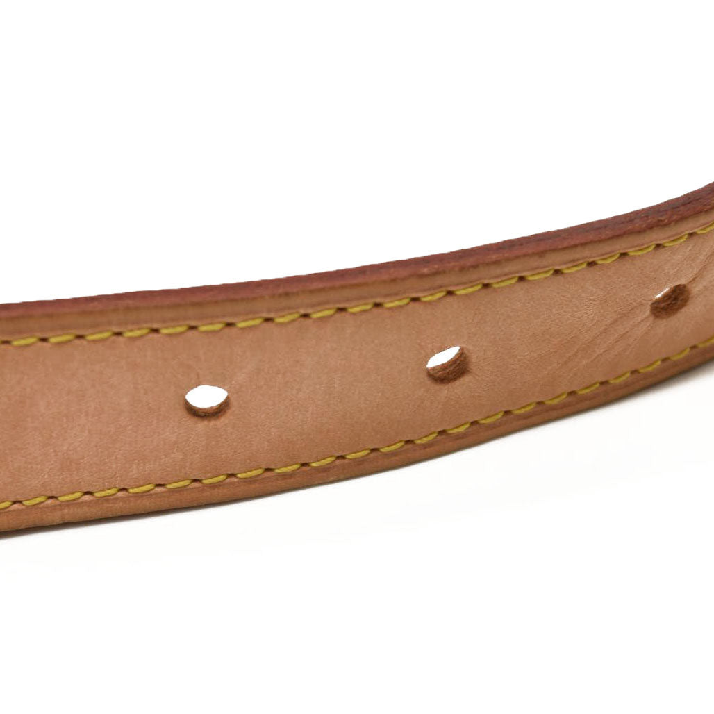 LOUIS VUITTON Monogram Bumbag CA4220